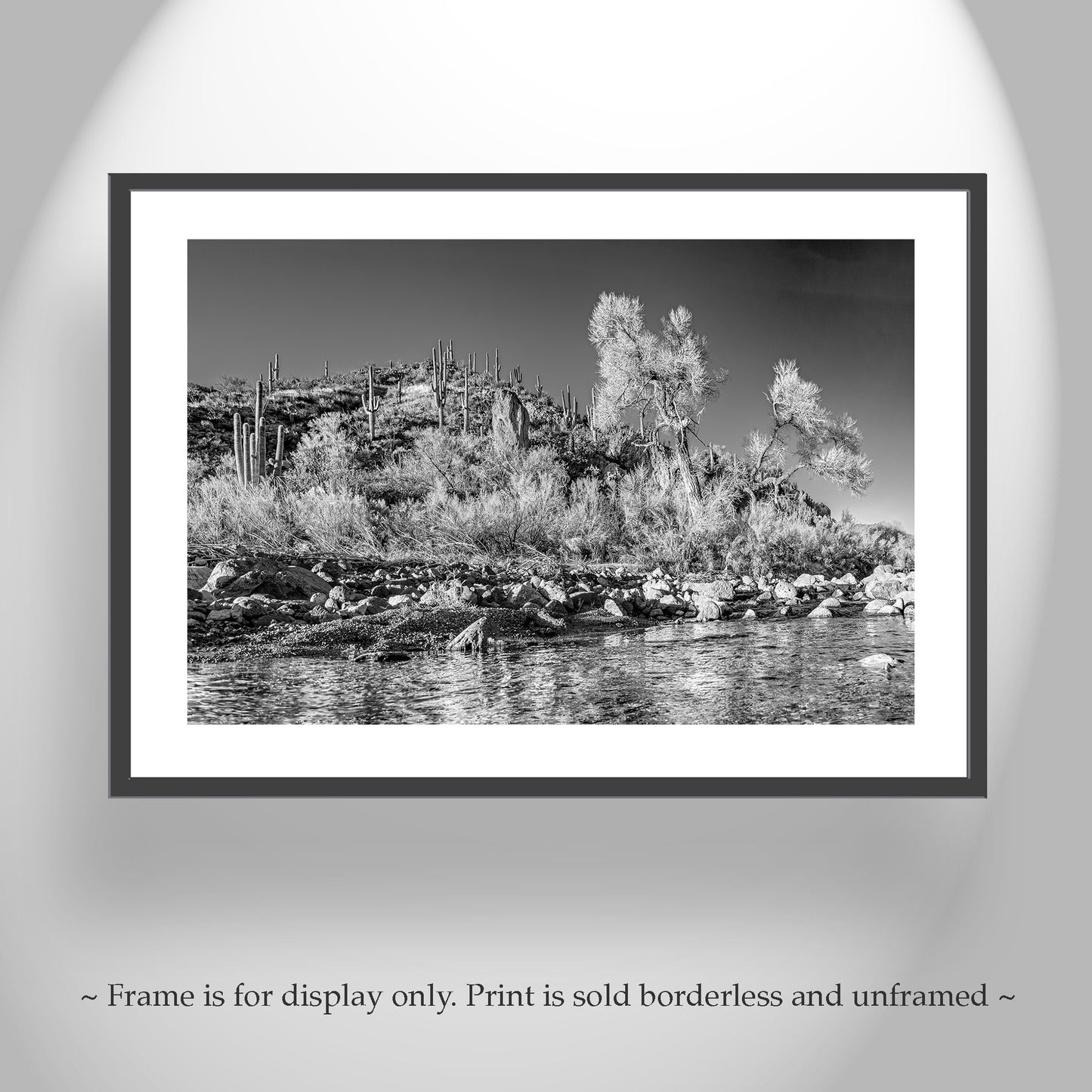 Black & White Canyon Landscape Art with Watery Stream in Arizona Wilderness