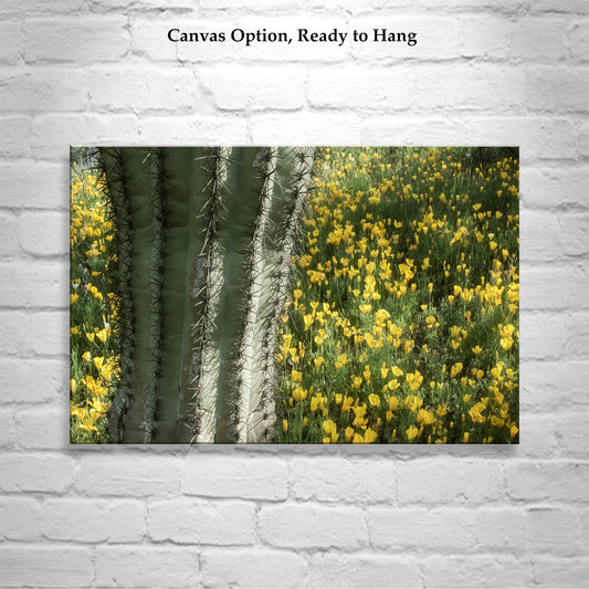 Picacho Peak Arizona Desert Wildflower Art with Cactus