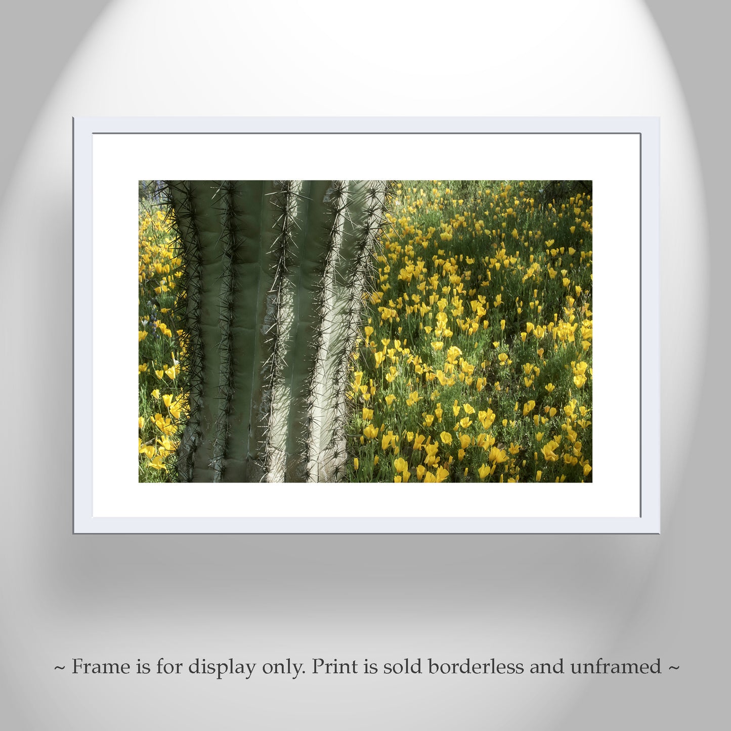 Picacho Peak Arizona Desert Wildflower Art with Cactus