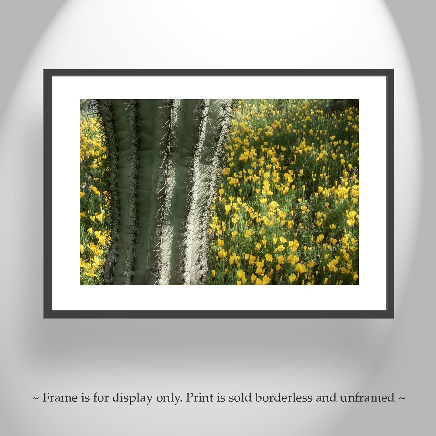 Picacho Peak Arizona Desert Wildflower Art with Cactus