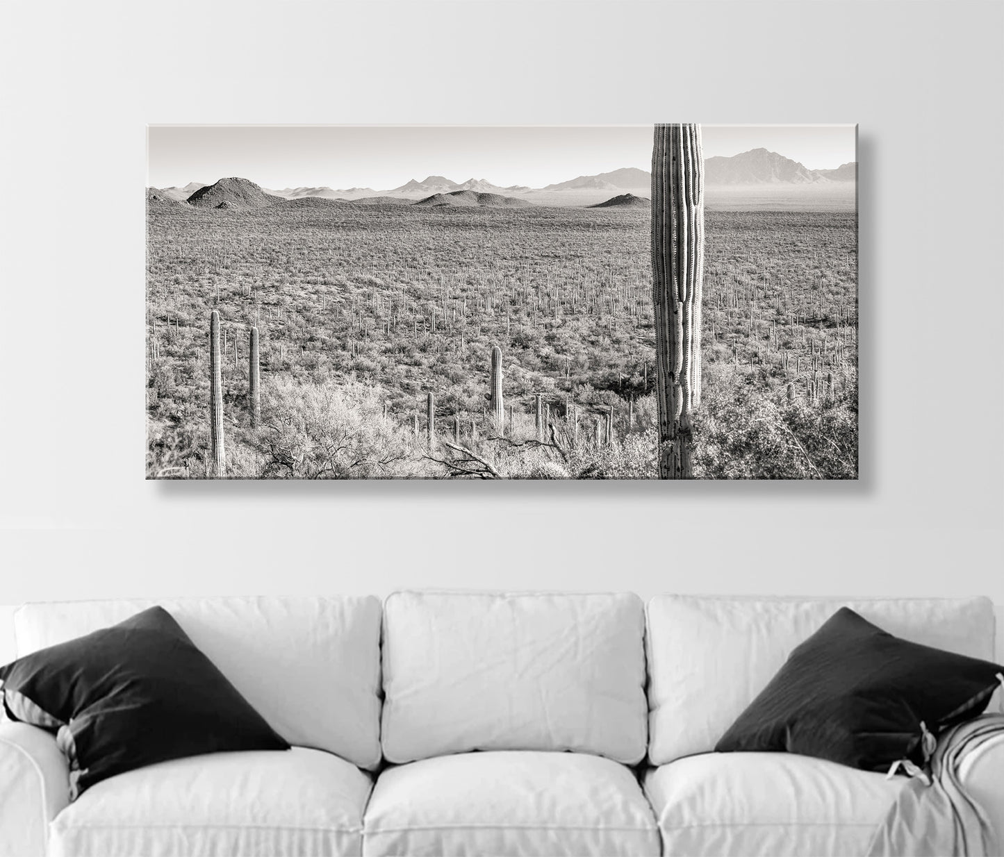 Desert Landscape Panoramic Art Print for Sale from Tucson Arizona USA