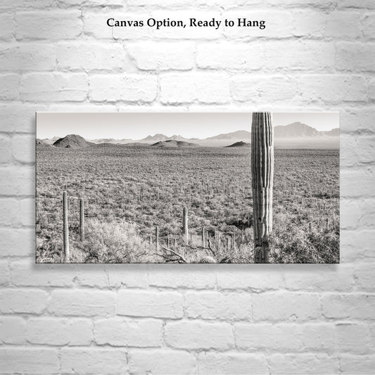 Desert Panoramic Art | Tucson Arizona Landscape Sepia Print