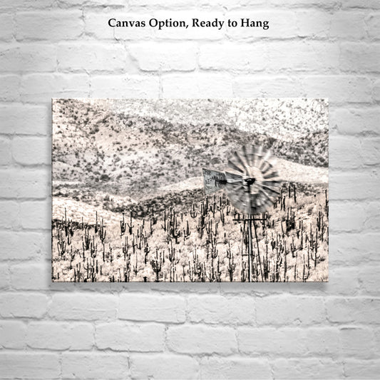 Arizona Desert Cactus & Windmill Art Print - Ranch Landscape Photo