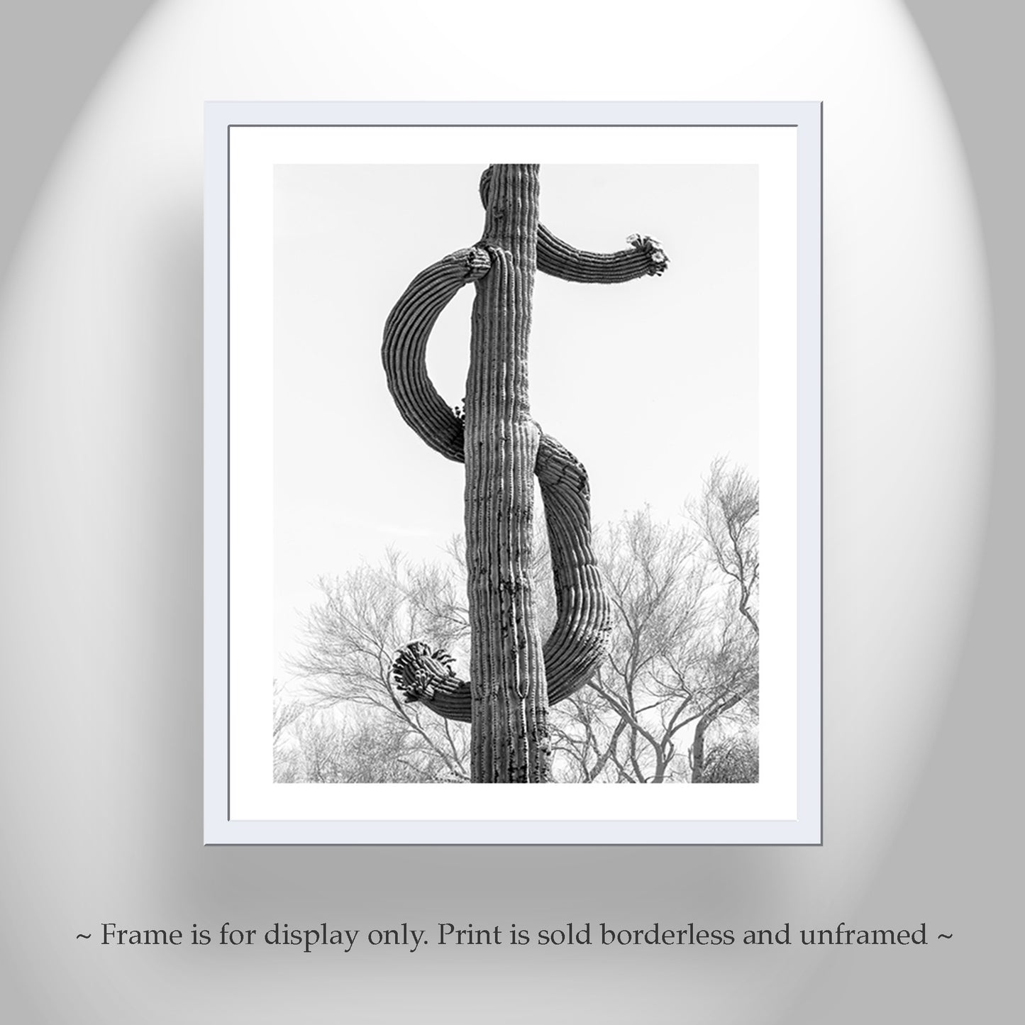 Desert Saguaro Cactus as Dollar Sign | Bold Wall Art in Black and White