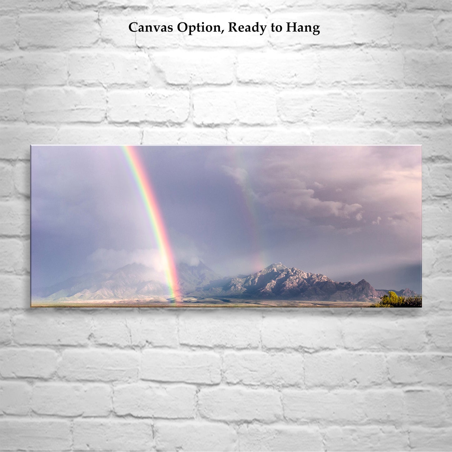 Double Rainbow in Tucson Arizona | Desert Mountain Landscape Wall Art