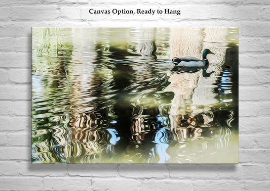 Tucson Agua Caliente Park Duck Pond Nature Art | Abstract Water Reflection