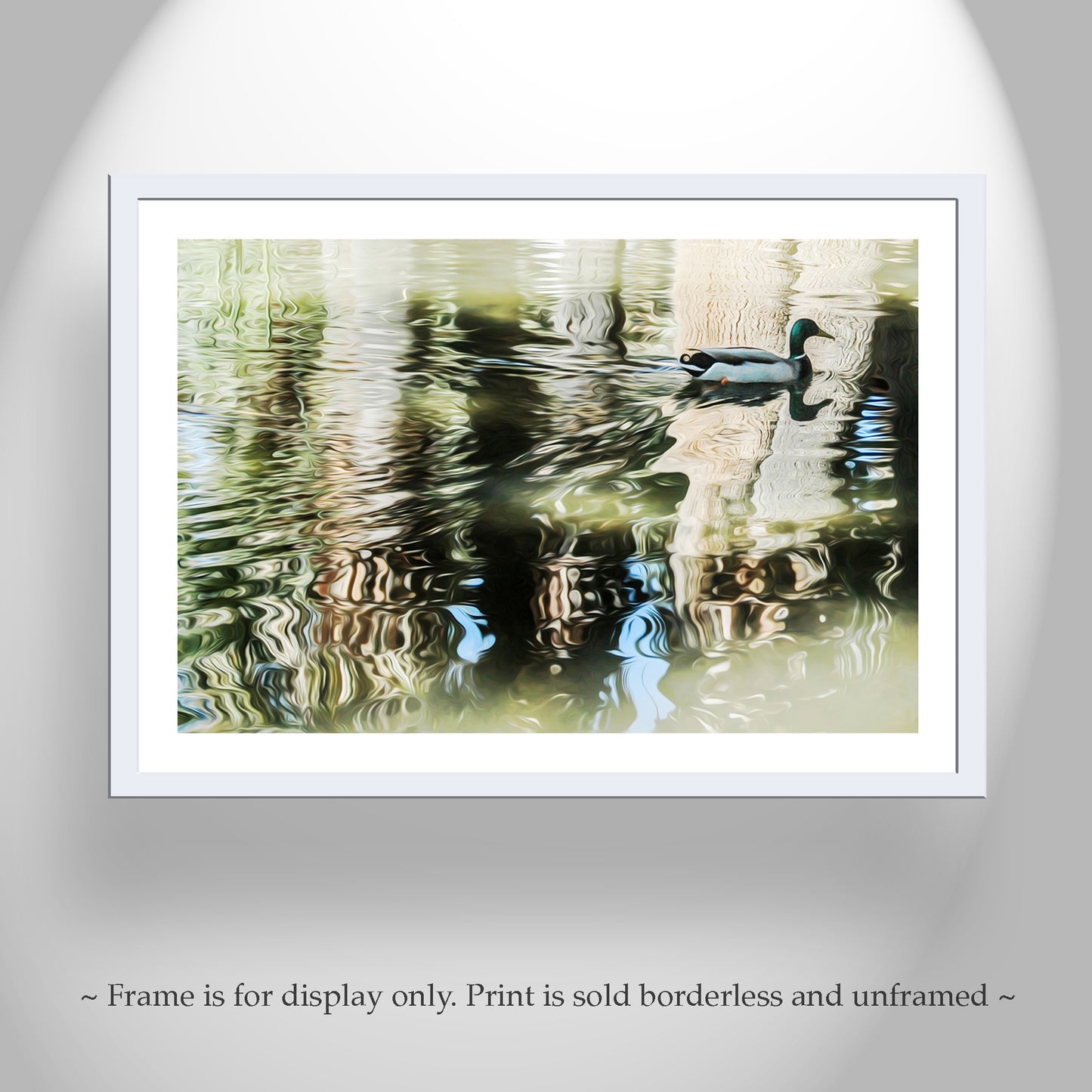Tucson Agua Caliente Park Duck Pond Nature Art |Abstract Water Reflection