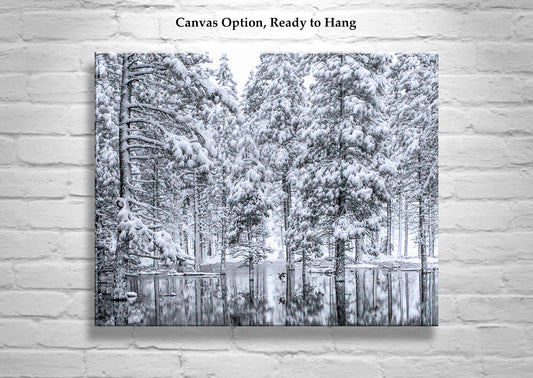 Winter Water Bird Flying Duck Art | Snowy Forest Landscape Print