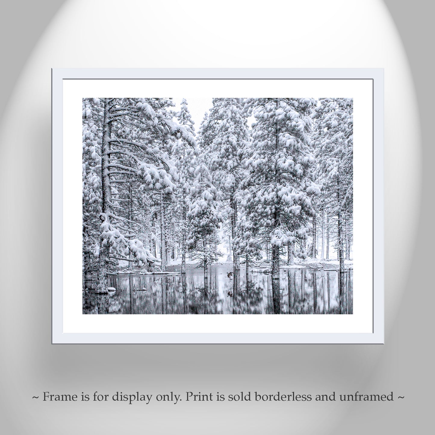 Water Bird Photograph in Winter Snowy Forest Landscape
