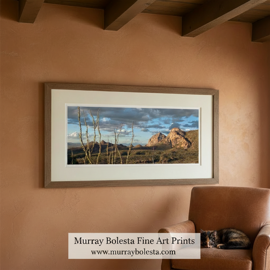 a desert landscape with towering mountains in the background, a cloudy sky, and a few tall, thin plants in the foreground. Tucson Arizona Desert Panoramic Art Print | Elephant Head Peak by Murray Bolesta