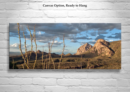 Tucson Arizona Desert Panoramic Art Print | Elephant Head Peak