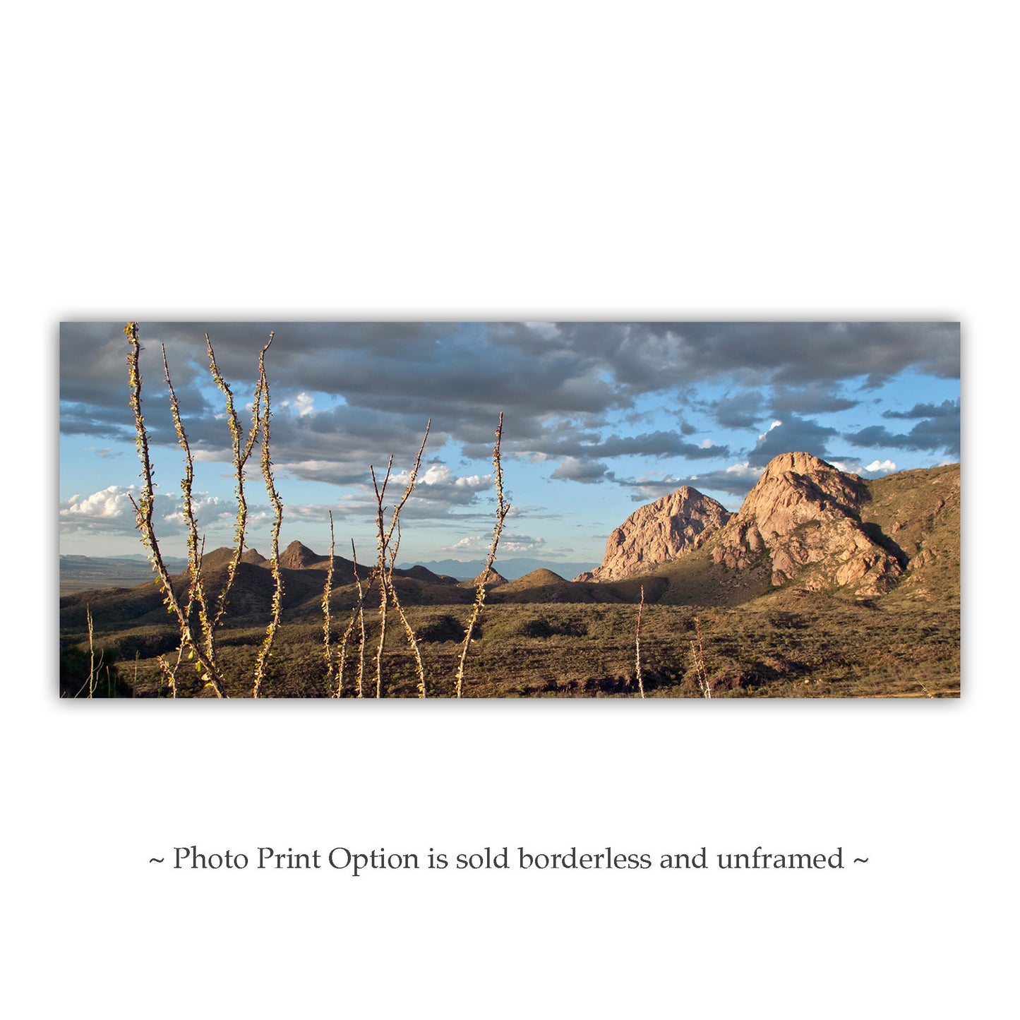 Desert Panoramic Art Print at Tucson Arizona by Murray Bolesta