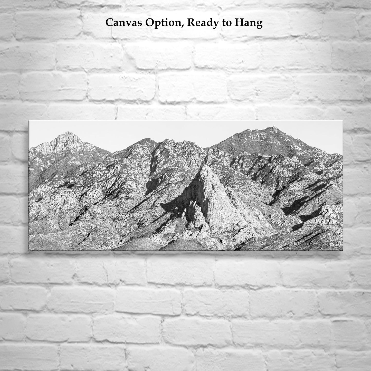 Santa Rita Mountains Arizona Landscape Art for Sale in Black and White
