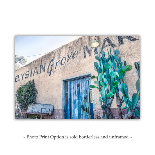 Tucson Blue Door Canvas Print | Elysian Grove Adobe & Cactus Art