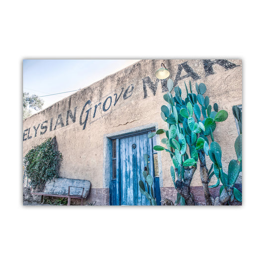 Tucson Blue Door Canvas Print | Elysian Grove Adobe & Barrio Art