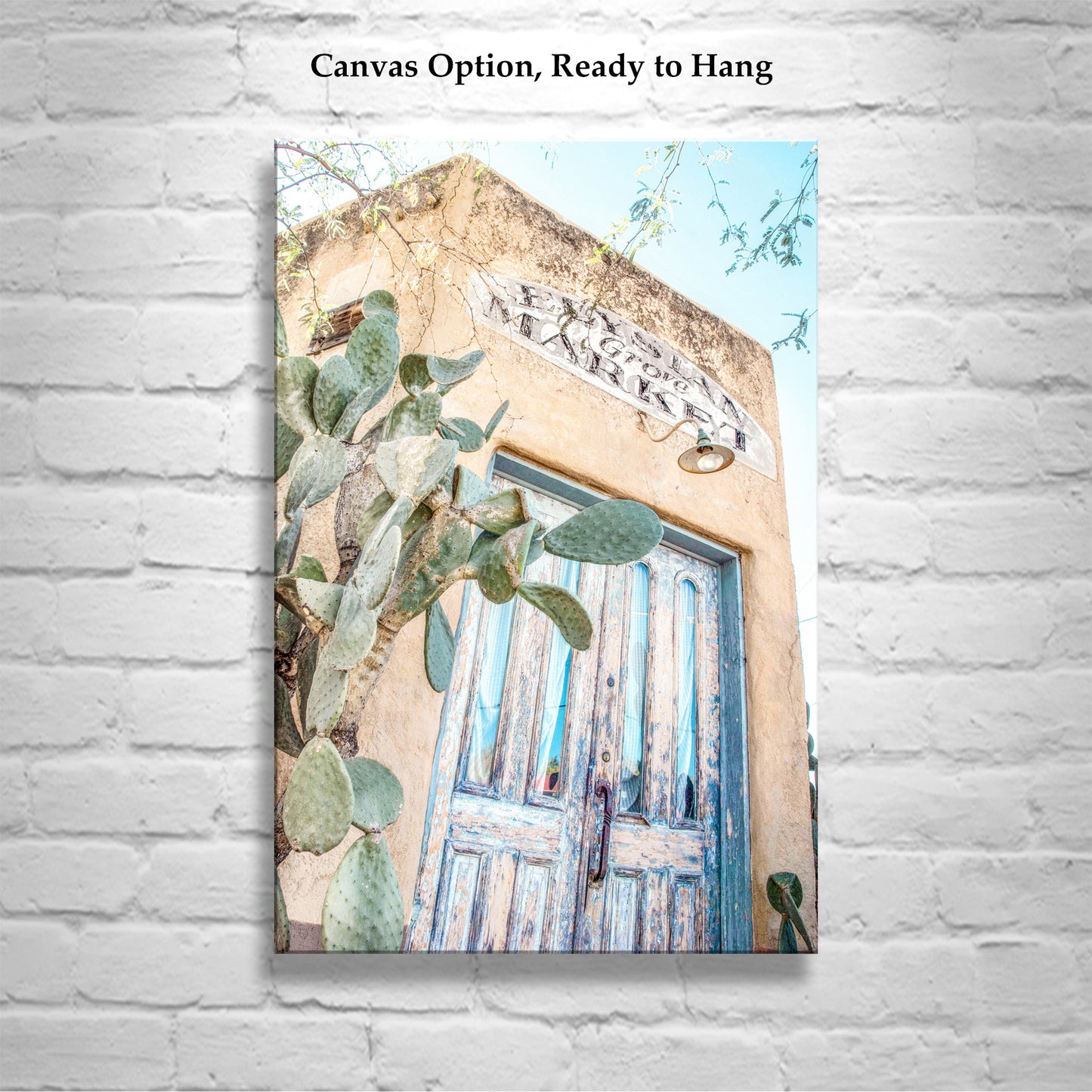 Tucson Art Photography with Elysian Grove Blue Door and Cactus | Barrio Viejo Wall Decor Gift