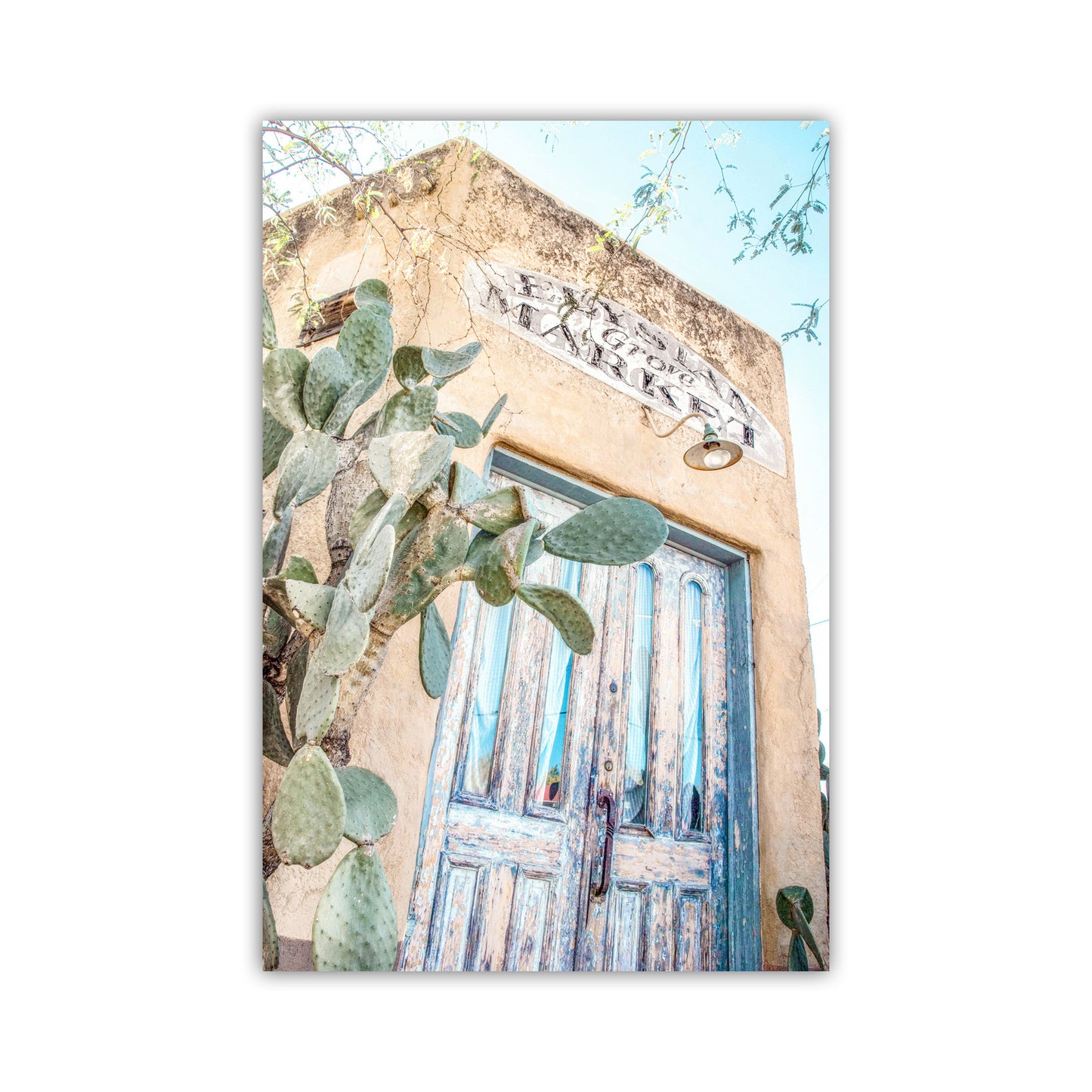 Tucson Art Photography with Elysian Grove Blue Door and Cactus | Barrio Viejo Wall Decor Gift