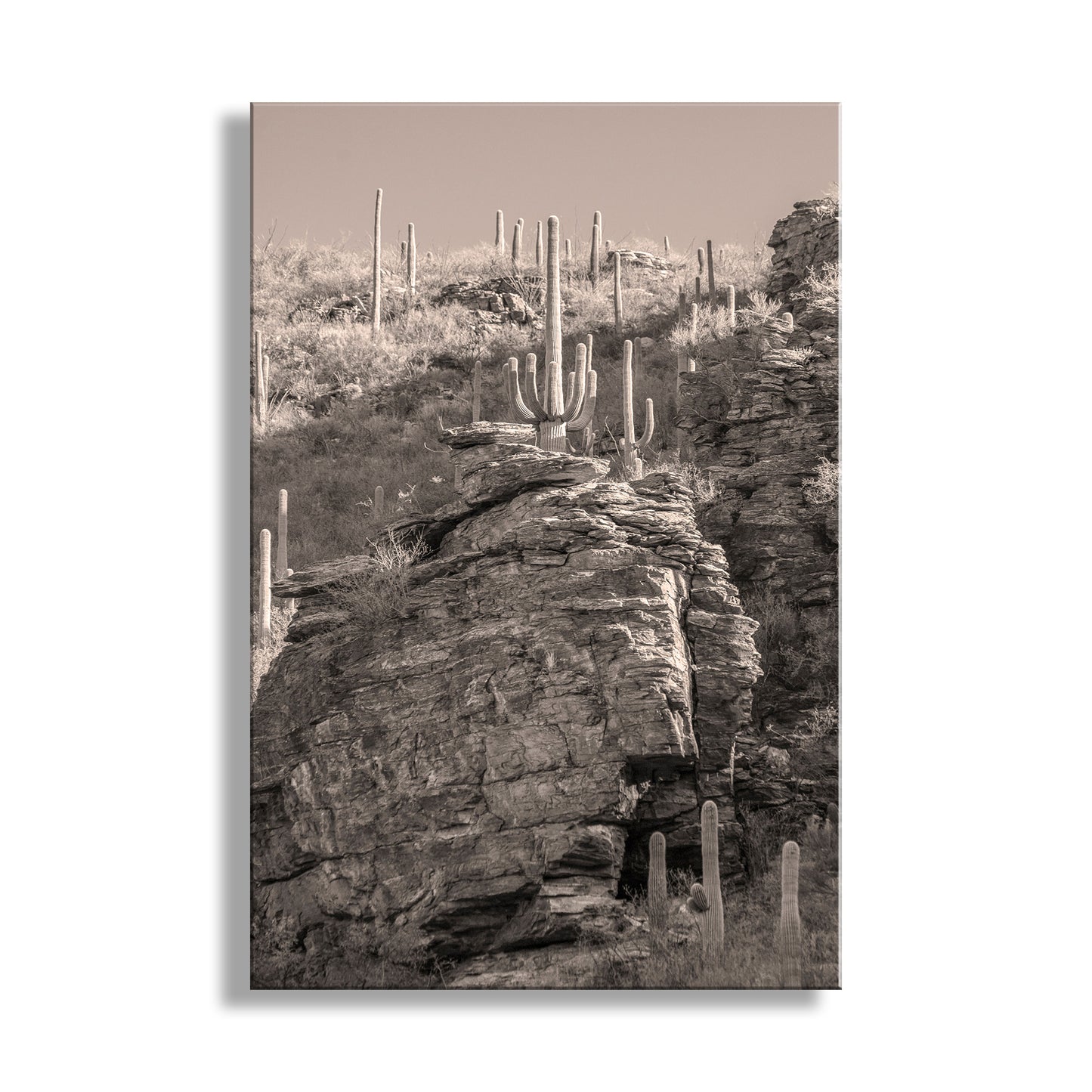 Tucson Desert Framed Photo Wall Art with Canyon Landscape