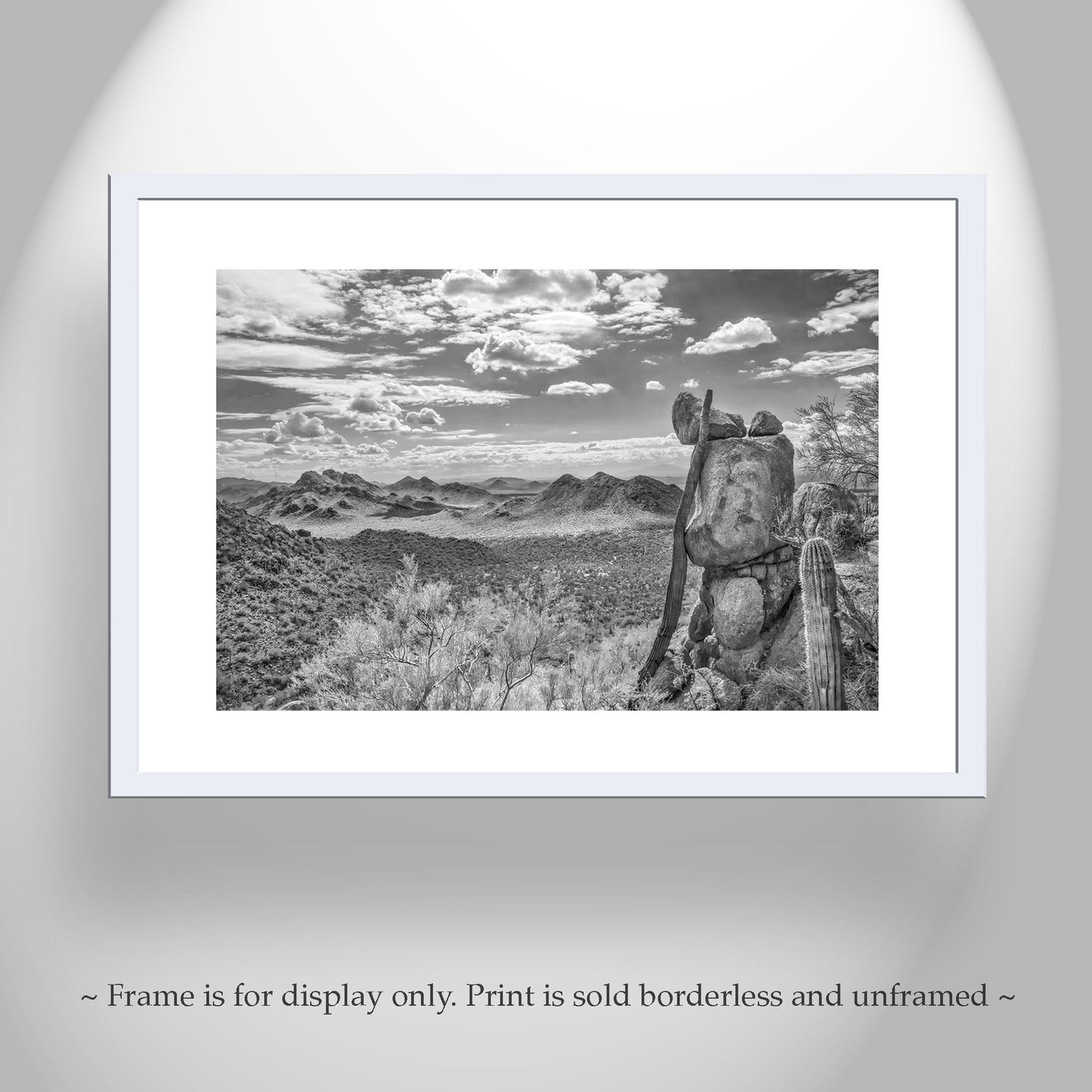 Desert Sepia Landscape Art in Tucson Arizona For Sale