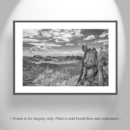 Desert Sepia Landscape Art | Tucson Arizona Saguaro Cactus Print