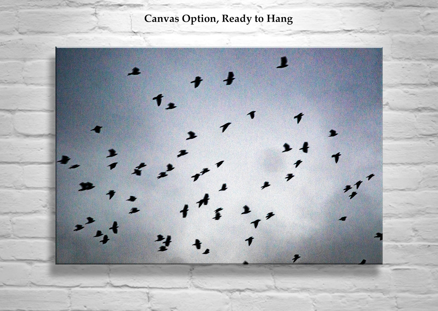 Flock of Birds in Flight Art Picture as Fine Art Surreal Nature Print
