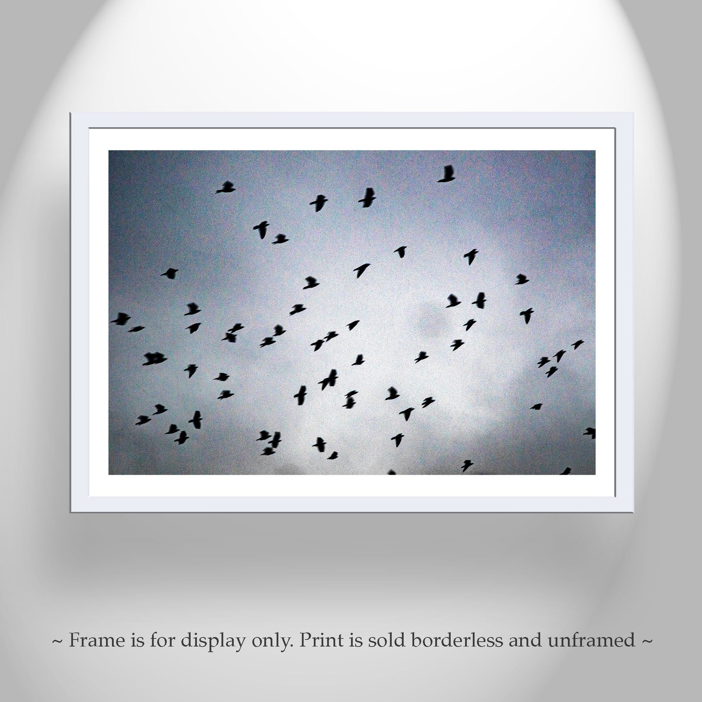Flock of Birds in Flight Art Picture as Fine Art Surreal Nature Print