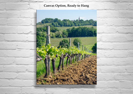 France Vineyard Picture Bordeaux | Wine Country Landscape Art