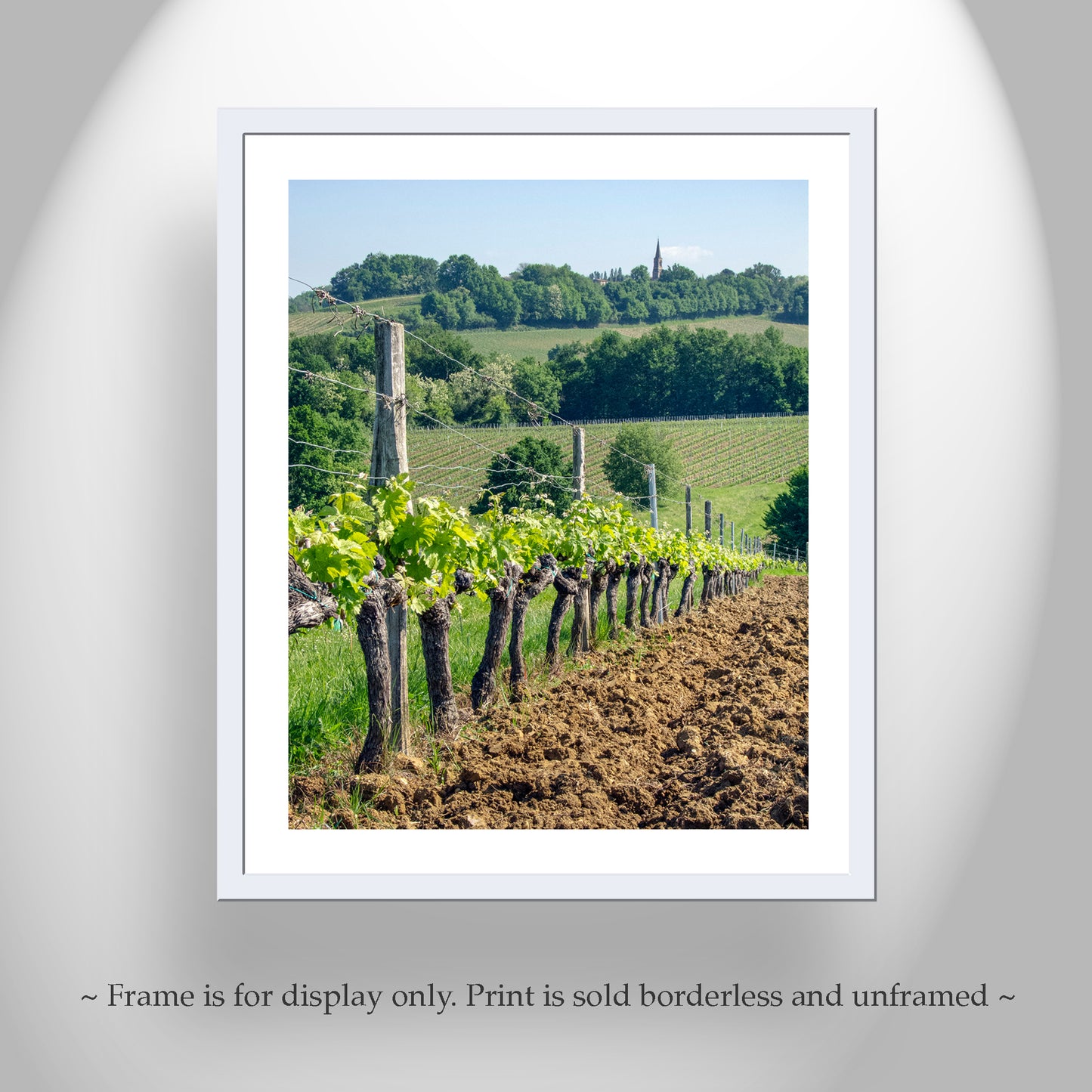 France Vineyard Picture at Bordeaux | Wine Country Landscape