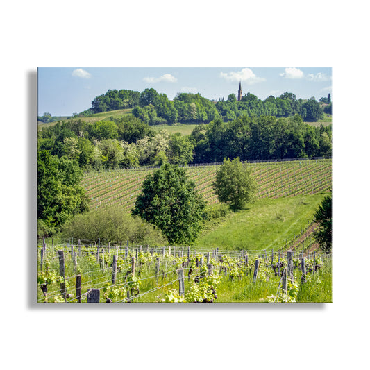 A picturesque countryside landscape with vineyards, rolling hills, and a church spire in the distance. French Vineyard Photography Bordeaux | Wine Country Landscape Art