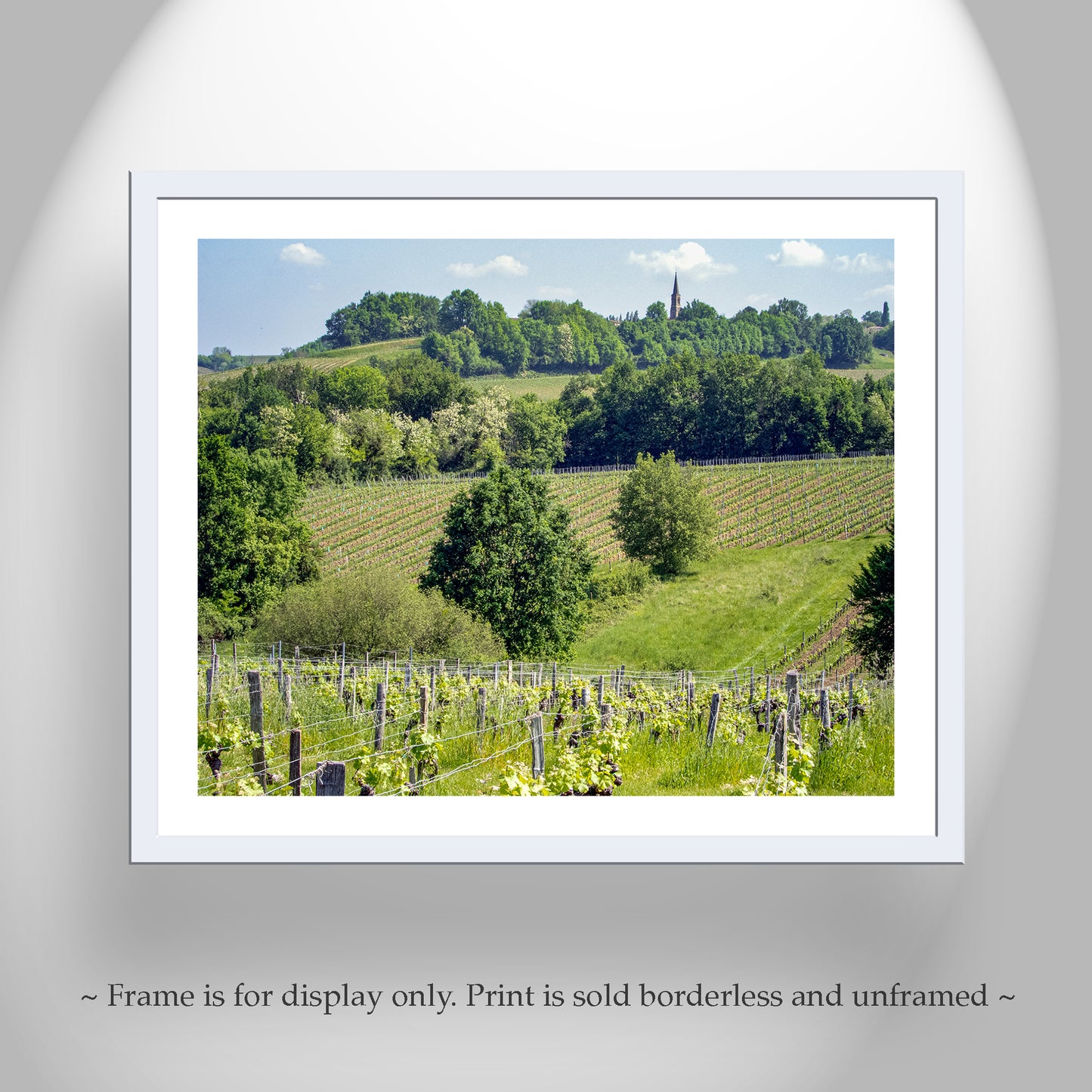French Vineyard Photography Art Print at Bordeaux France