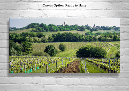 Bordeaux Vineyard Landscape Panorama | French Wine Country Art