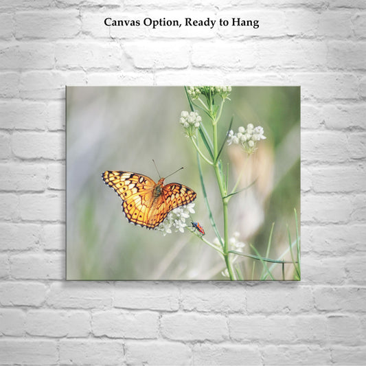Butterfly Insect Art Photography with Tarantula Hawk Wasp as Elegant Nature Decor