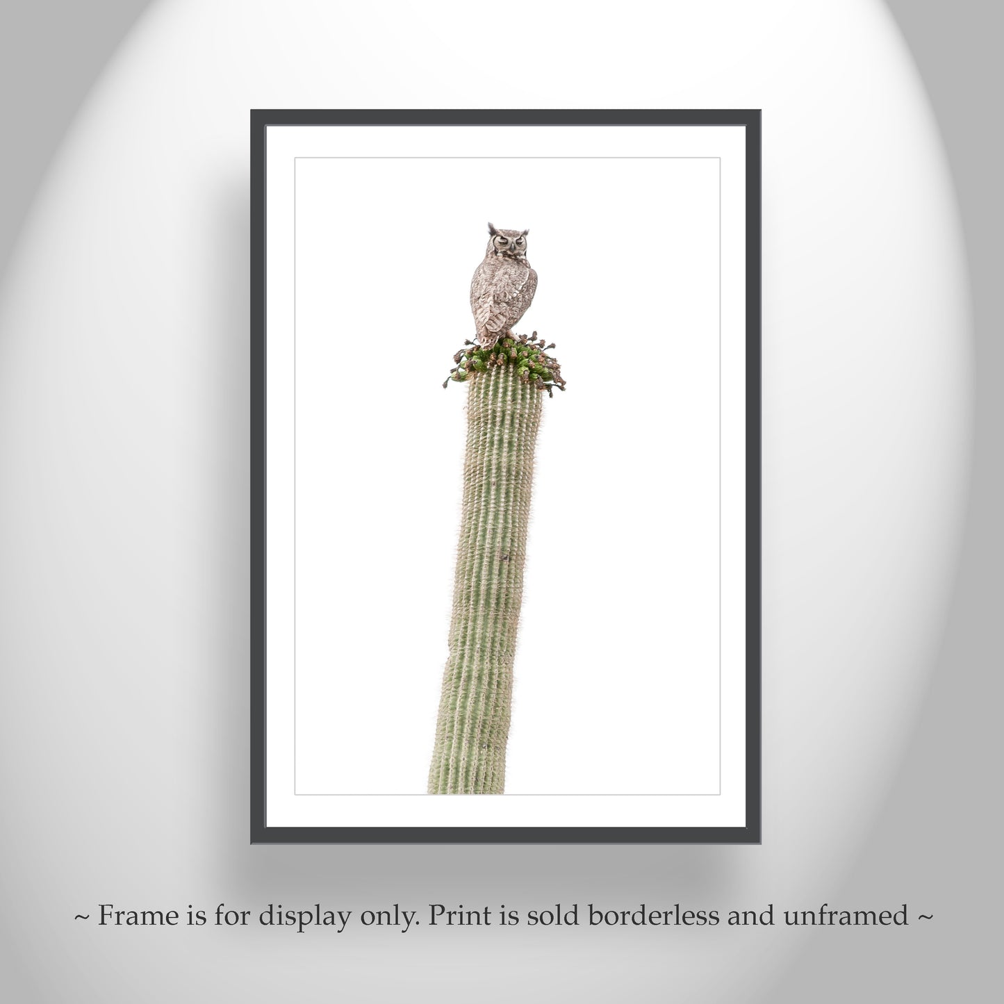 Great Horned Owl Bird Art with Desert Cactus | Set of 2 Diptych Prints