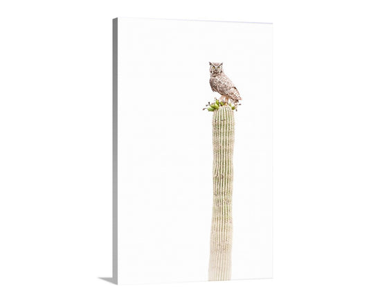 A brown owl perched on a tall, green cactus with small flowers.Owl on Saguaro Cactus - Minimalist Desert Wildlife Wall Decor