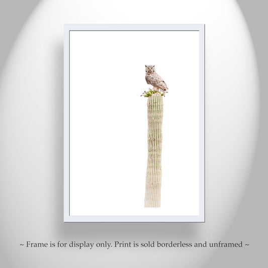 Owl on Saguaro Cactus - Minimalist Desert Wildlife Wall Decor