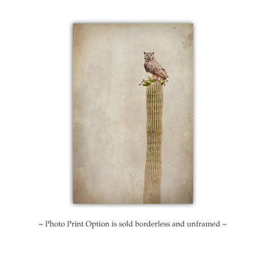 Vintage Desert Owl on Cactus - Great Horned Owl Sepia Wall Art
