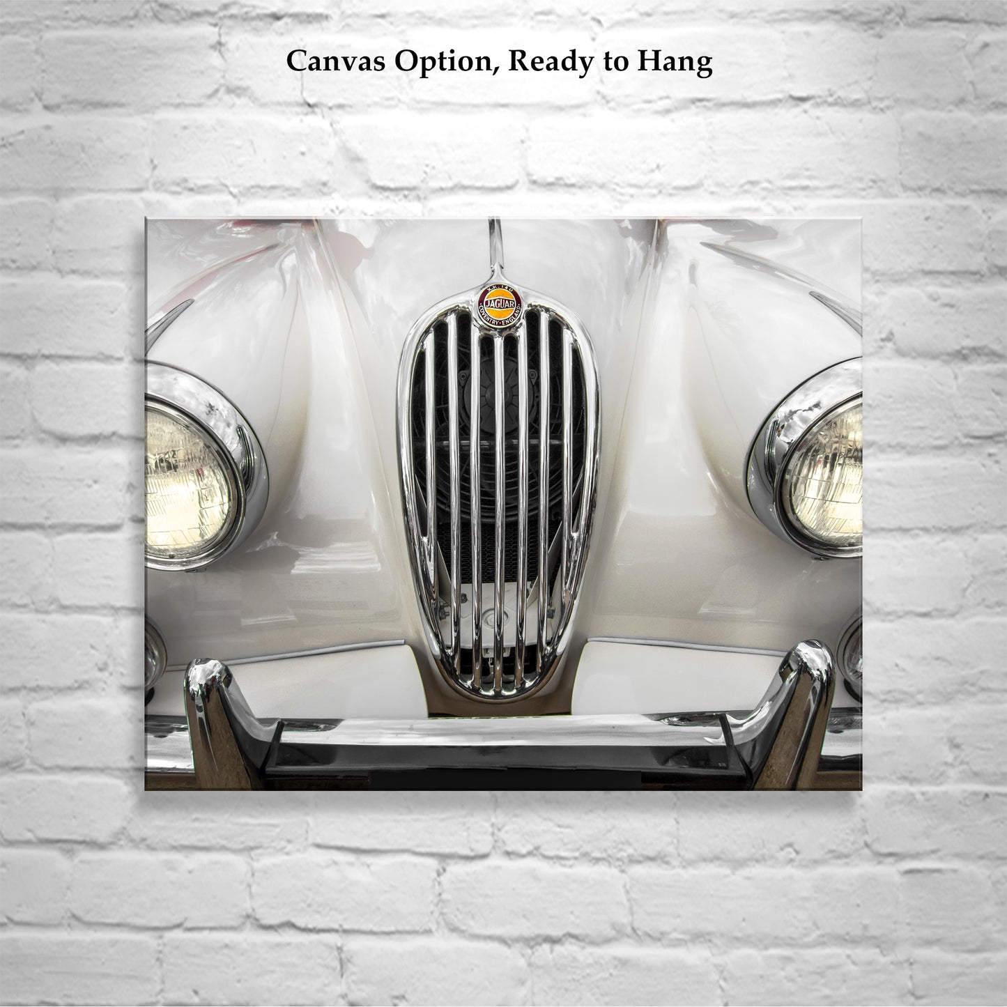 Classic Jaguar XK140 Car Photograph | English Car Automotive Wall Art