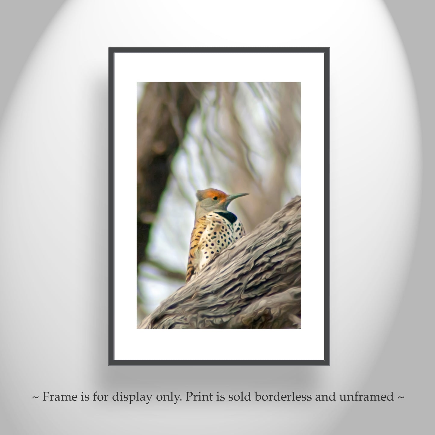 Flicker Bird Wall Art in Woodlands Avian Nature Art