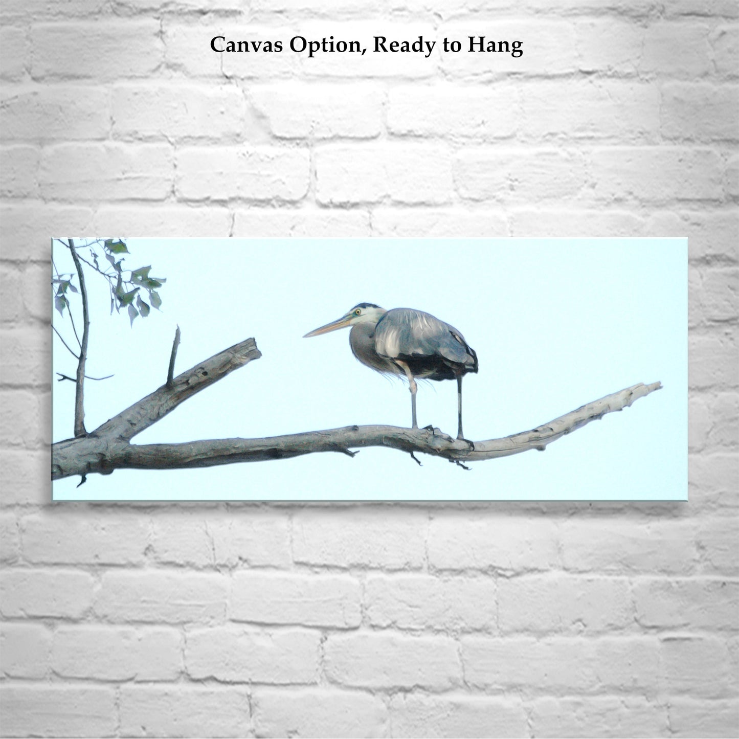 Great Blue Heron Bird Panorama Art Print | Minimalist Wall Decor