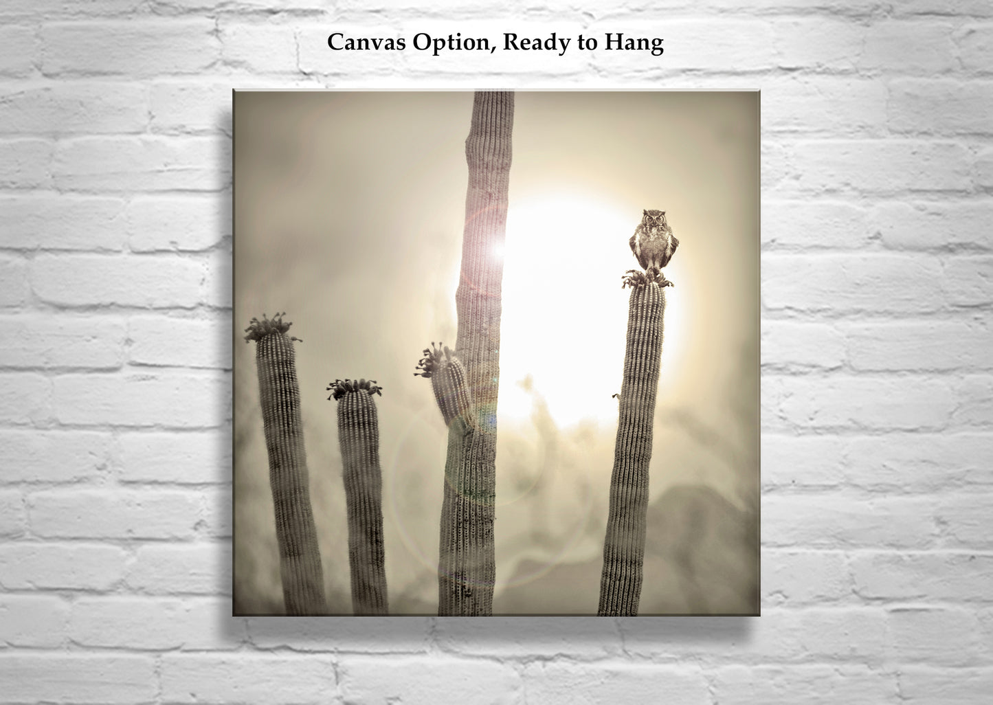 Great Horned Owl Art Print with Sonoran Desert Saguaro Cactus Sunset | Tucson Arizona Ironwood Forest Landscape Photo