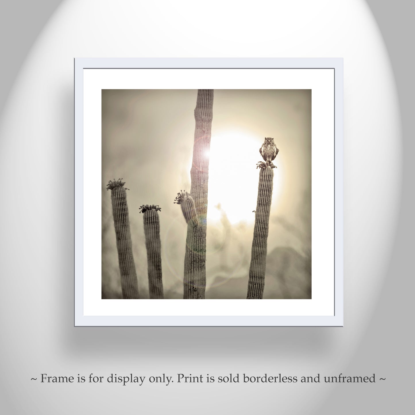 Great Horned Owl Art Print with Sonoran Desert Saguaro Cactus Sunset | Tucson Arizona Ironwood Forest Landscape Photo