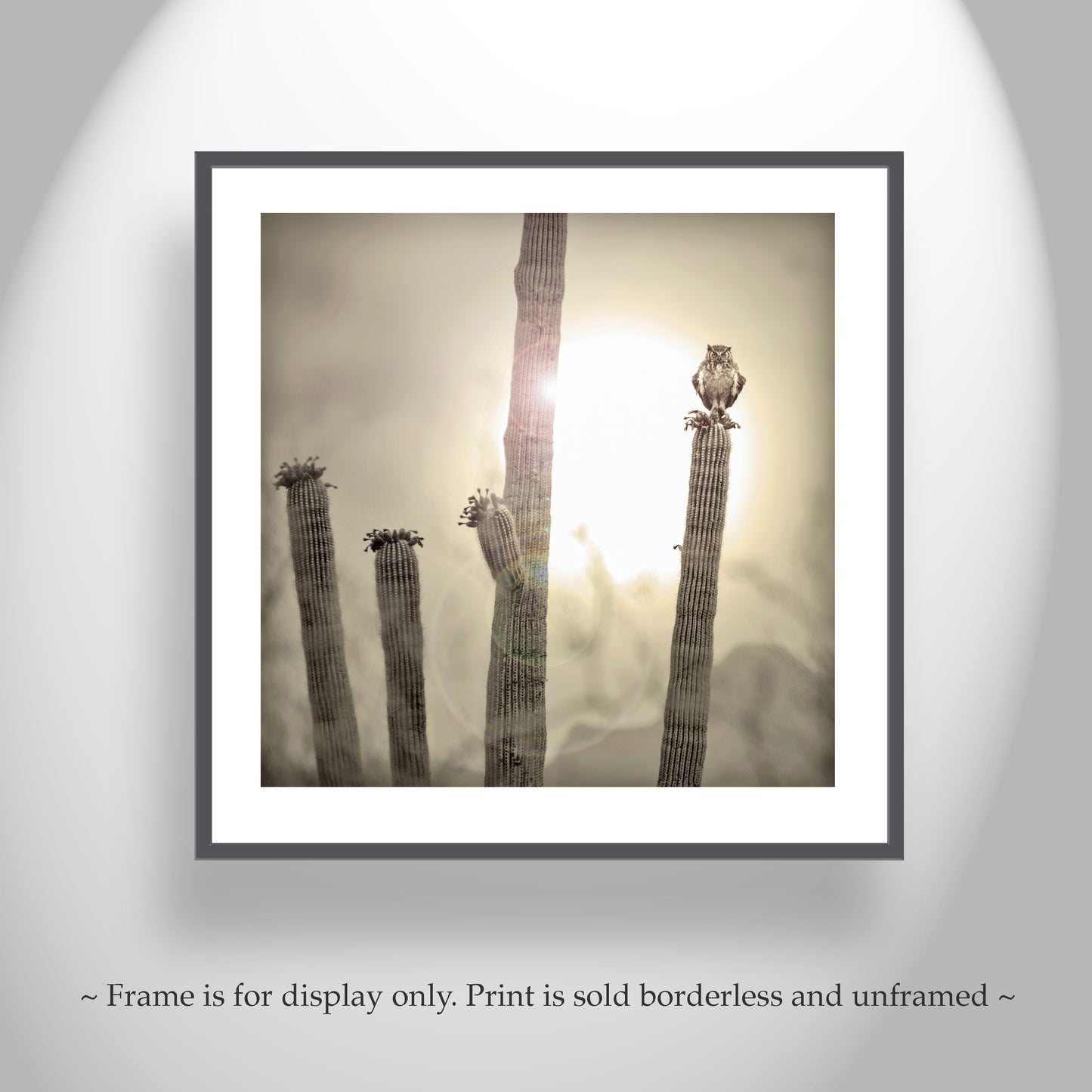 Great Horned Owl Art Print with Sonoran Desert Saguaro Cactus Sunset | Tucson Arizona Ironwood Forest Landscape Photo