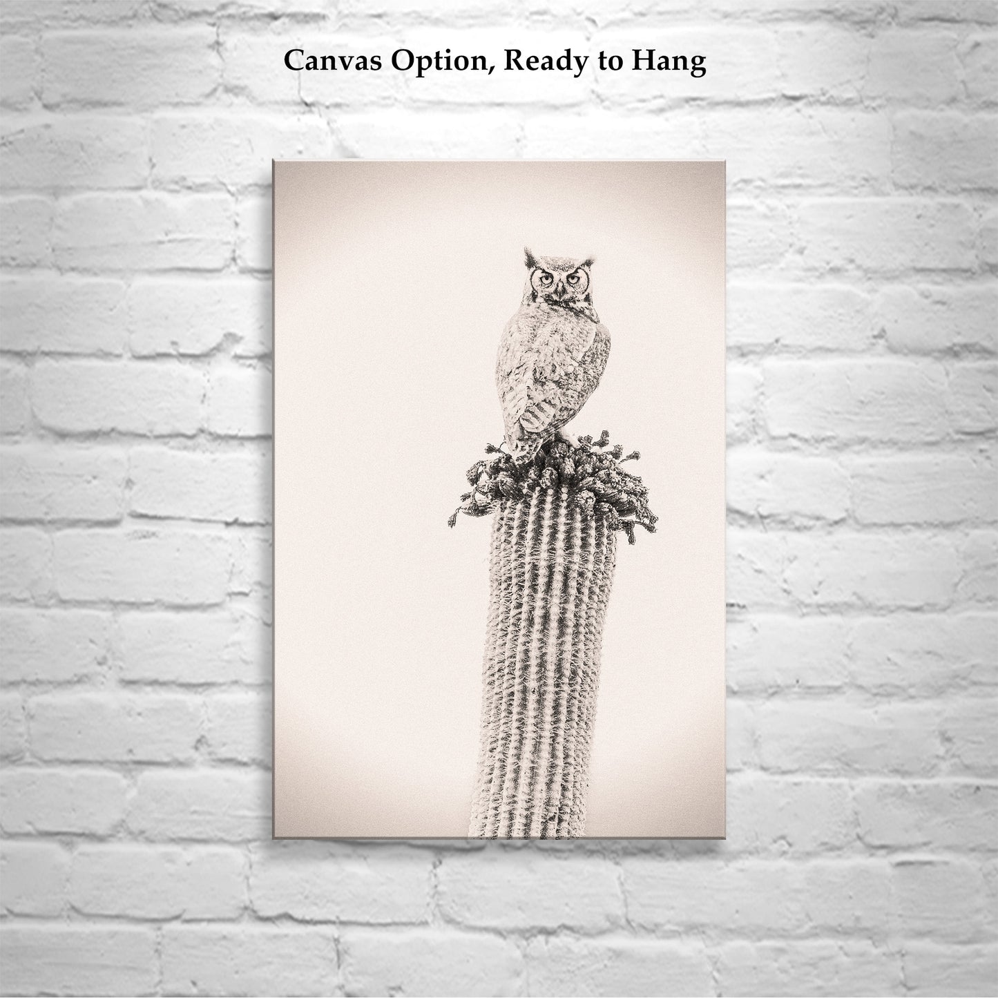 Owl Bird Artwork on Desert Cactus as Southwestern Wall Decor