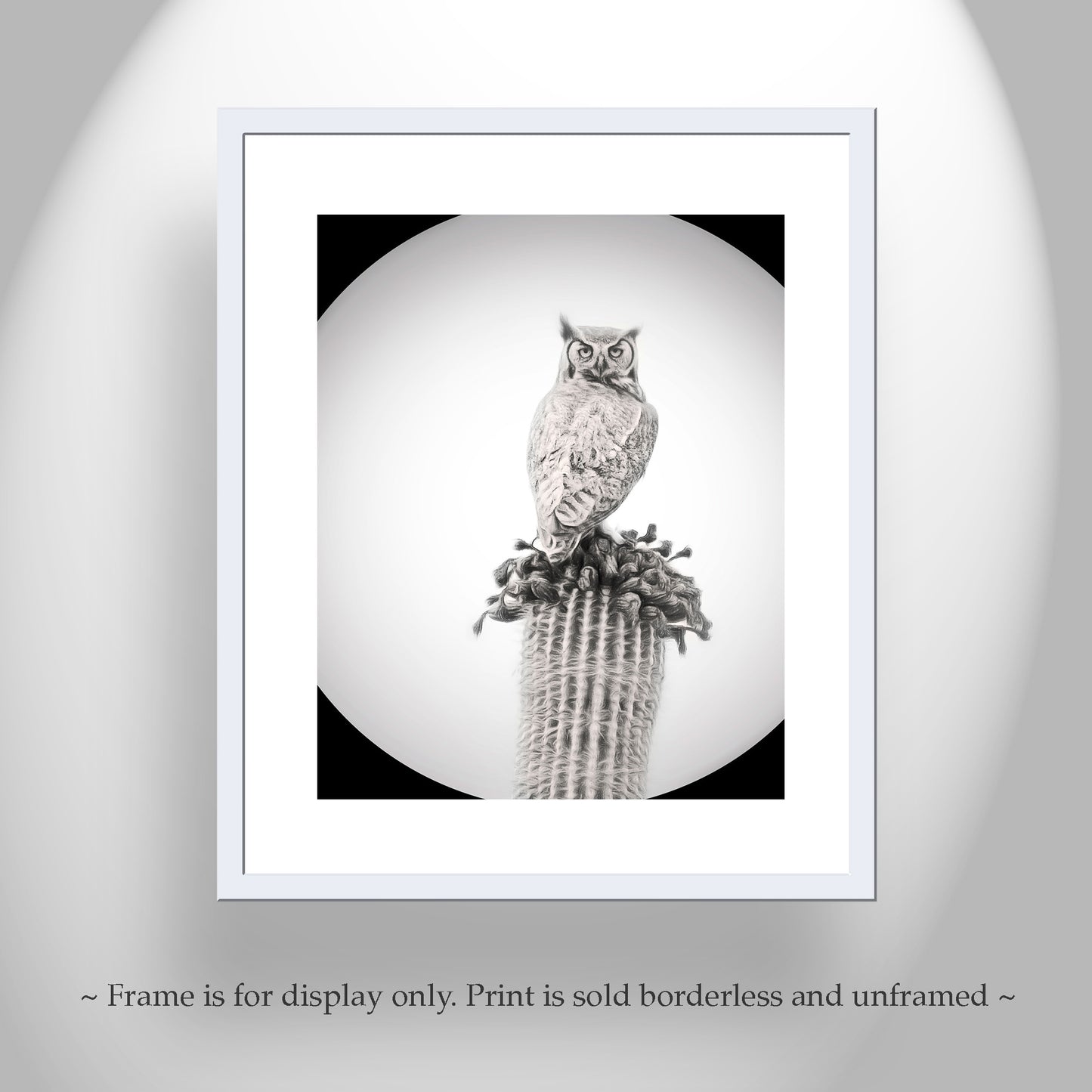 Owl Art Print as Black and White Desert Cactus Bird Artwork