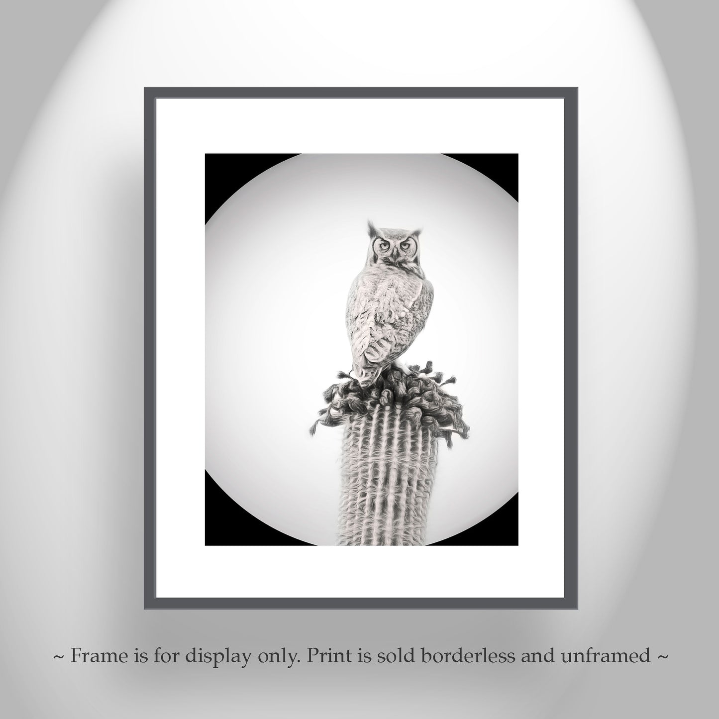 Owl Art Print as Black and White Desert Cactus Bird Artwork