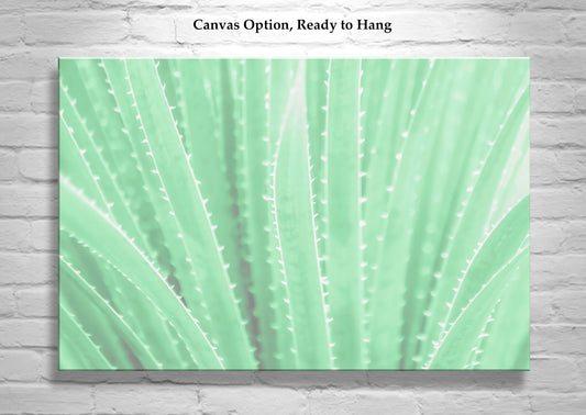 Agave Art Print in Pastel Green as Arizona Desert Botanical Wall Decor