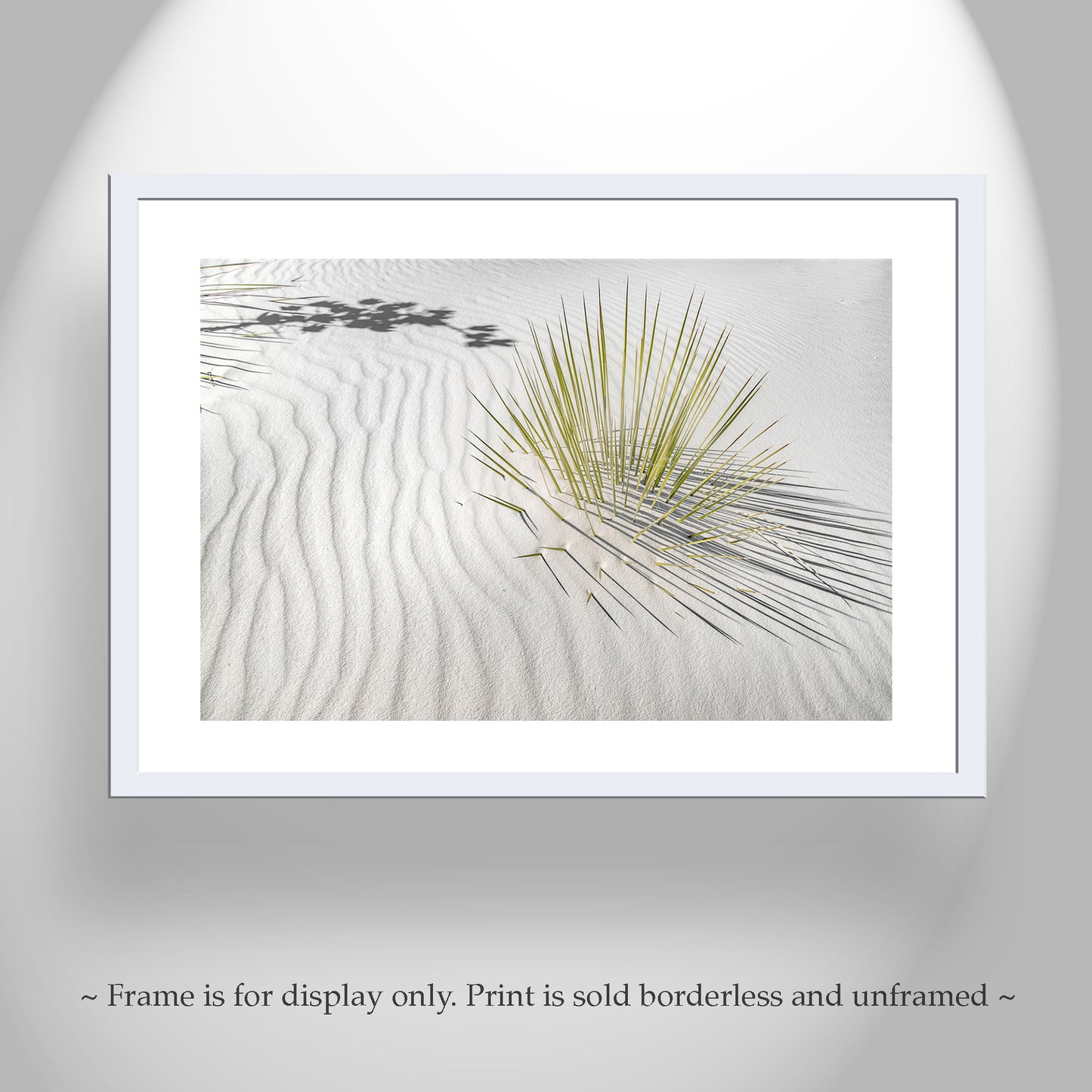 Desert Agave Framed Art for Sale with White Sand Dune in New Mexico USA