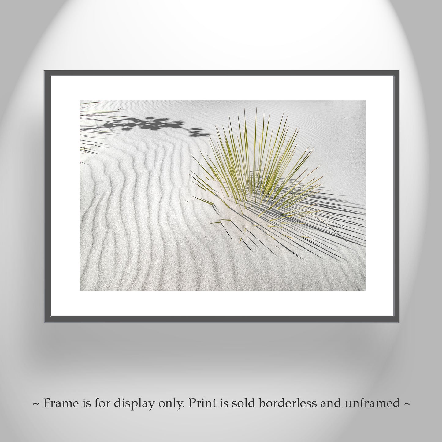 Desert Agave Framed Art for Sale with White Sand Dune in New Mexico USA