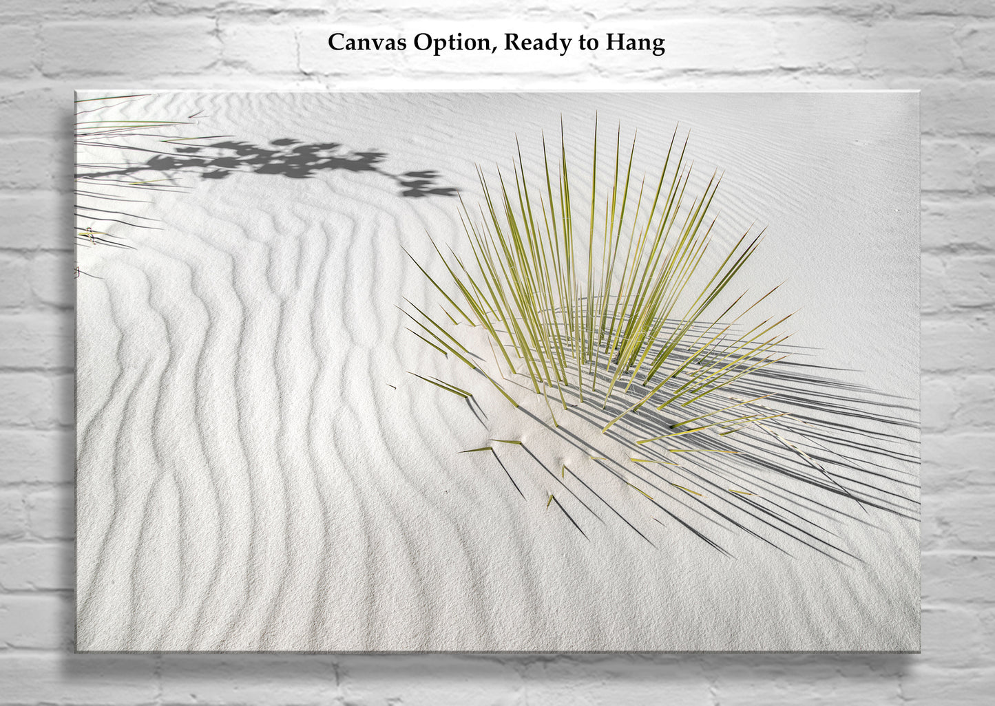 Desert Agave Framed Art for Sale with White Sand Dune in New Mexico USA
