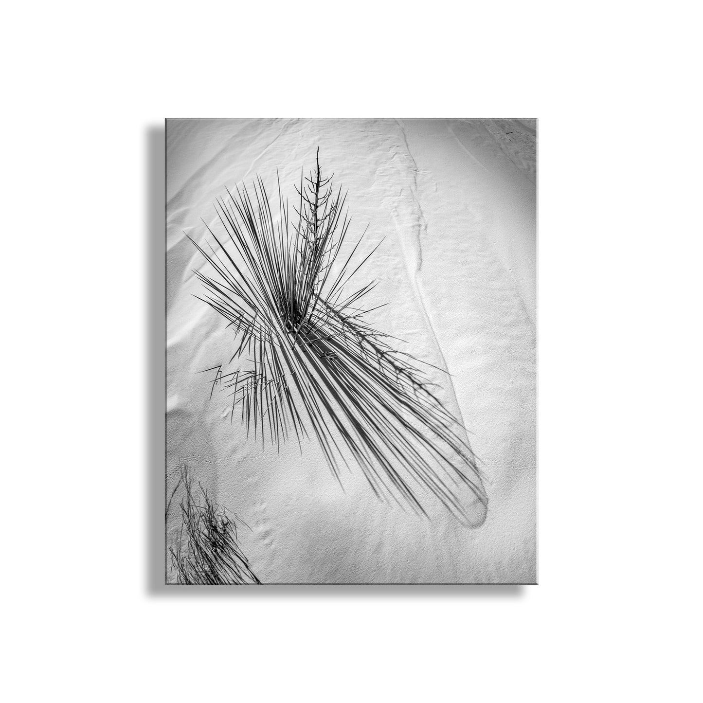 Desert Landscape Art with White Sand Dunes in Minimalist Black and White | Southwestern Style Home Decor Gift
